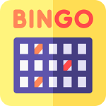 play bingo by the rules